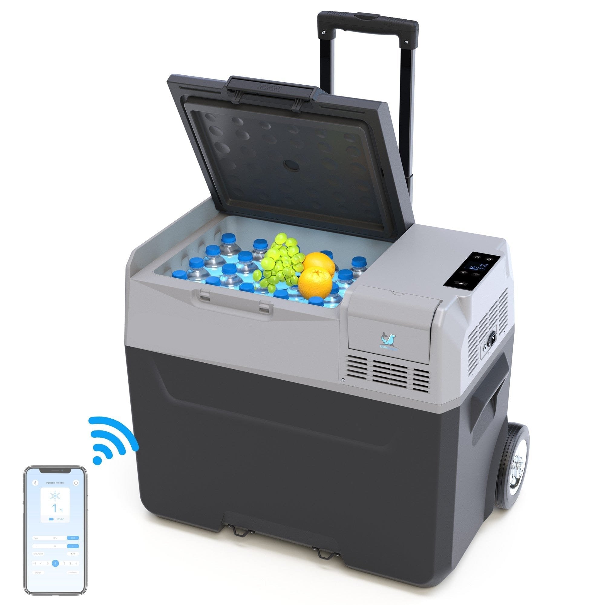 ACOPOWER LionCooler Pro Portable Solar Fridge Freezer, 42 Quarts