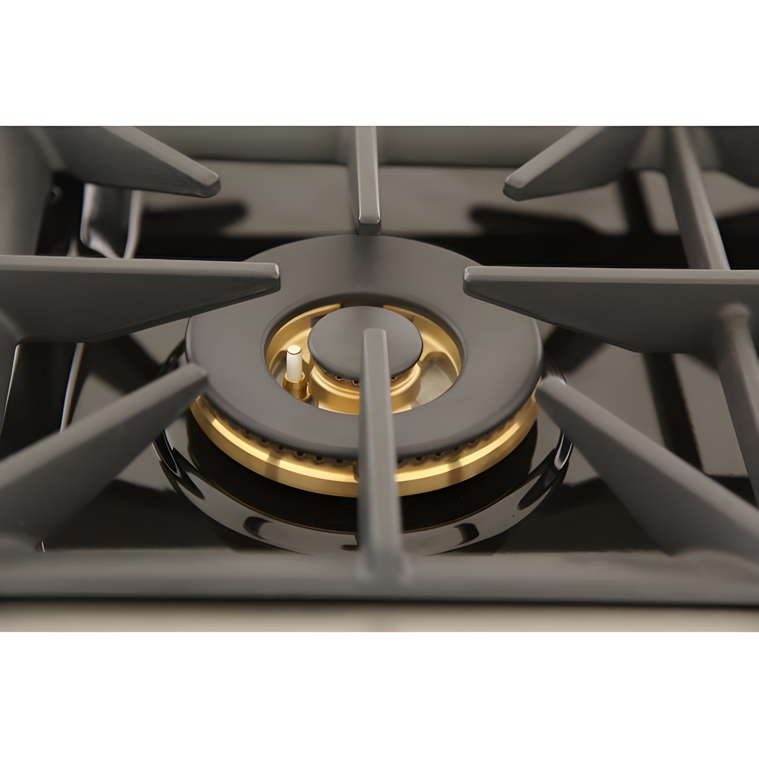 Kucht 48" Pro-Style Natural Gas Dual Fuel Range with 4 Burners in Stainless Steel - KDF482-S