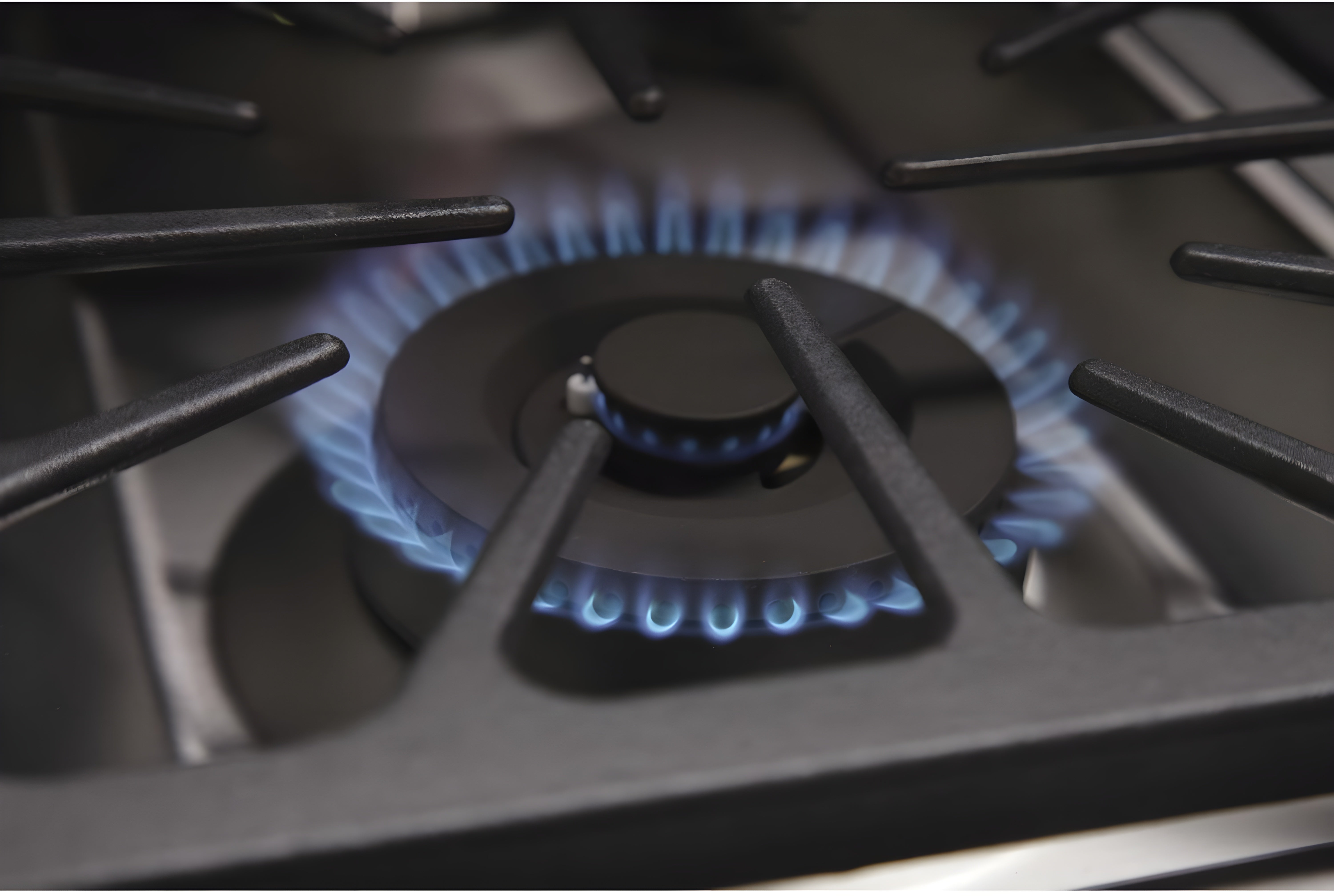 Kucht Professional 30 in. 4.2 cu ft. Propane Gas Range with Silver Knobs - KRG3080U/LP-S