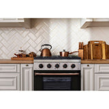 Kucht Professional 30" 4.2 cu ft. Propane Gas Range in Black with Rose Gold Accents-  KNG301/LP-K-ROSE