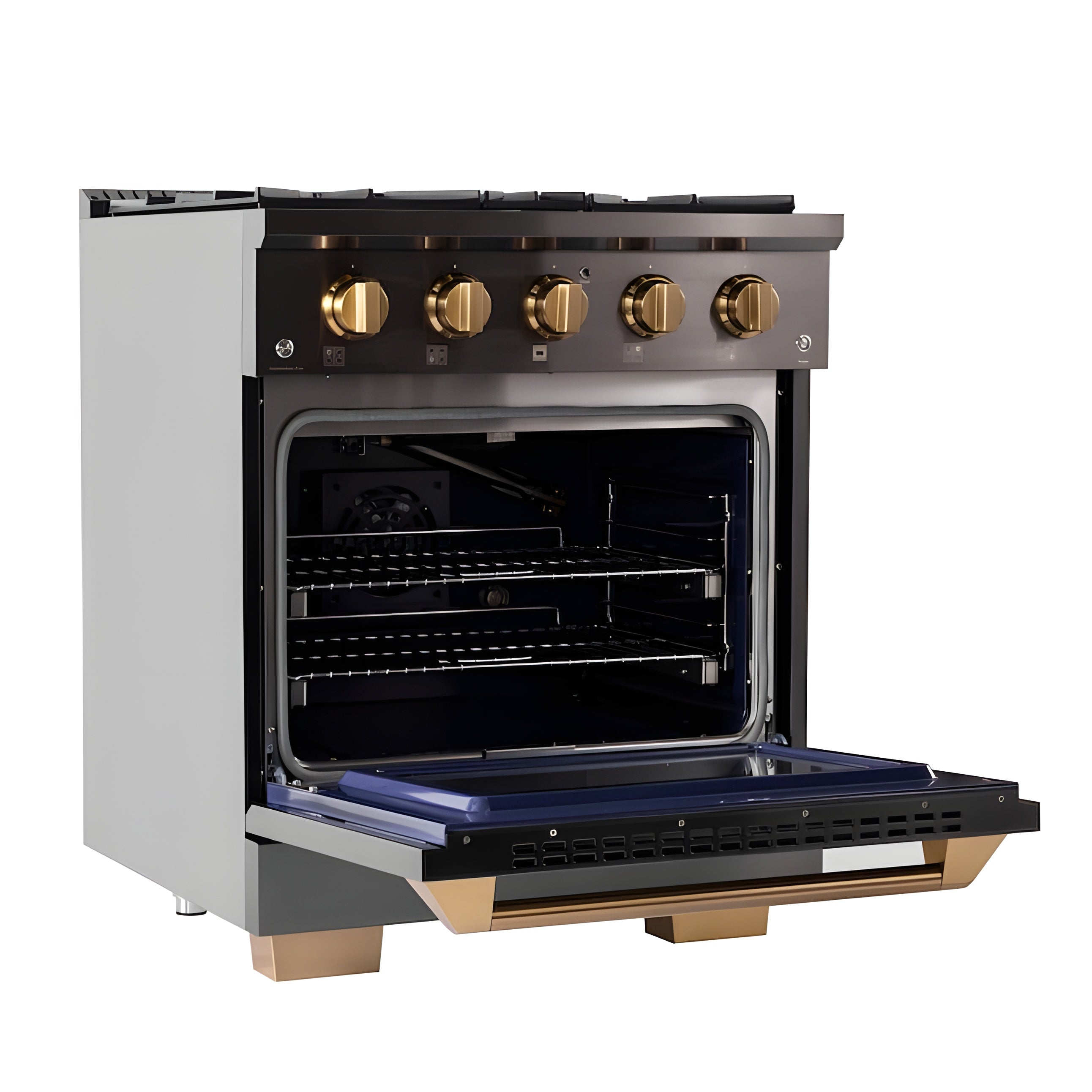 Kucht Gemstone Professional 30" 4.2 cu. ft. Natural Gas Range in Titanium Stainless Steel with Gold Accents - KEG303
