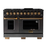 Kucht Gemstone Professional 48" 6.7 cu. ft. Natural Gas Range in Titanium Stainless Steel with Gold Accents - KEG483