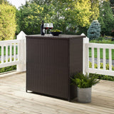 Crosley Palm Harbor Outdoor Wicker Bar Brown - CO7204-BR