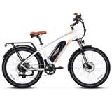 Addmotor 500W E-53 City Pro Electric Bike - EB-E53-GRN
