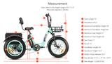 Addmotor 750W 48V Triketan II M-330 Trike Electric Bike - EB-ADD-TT2-YLW