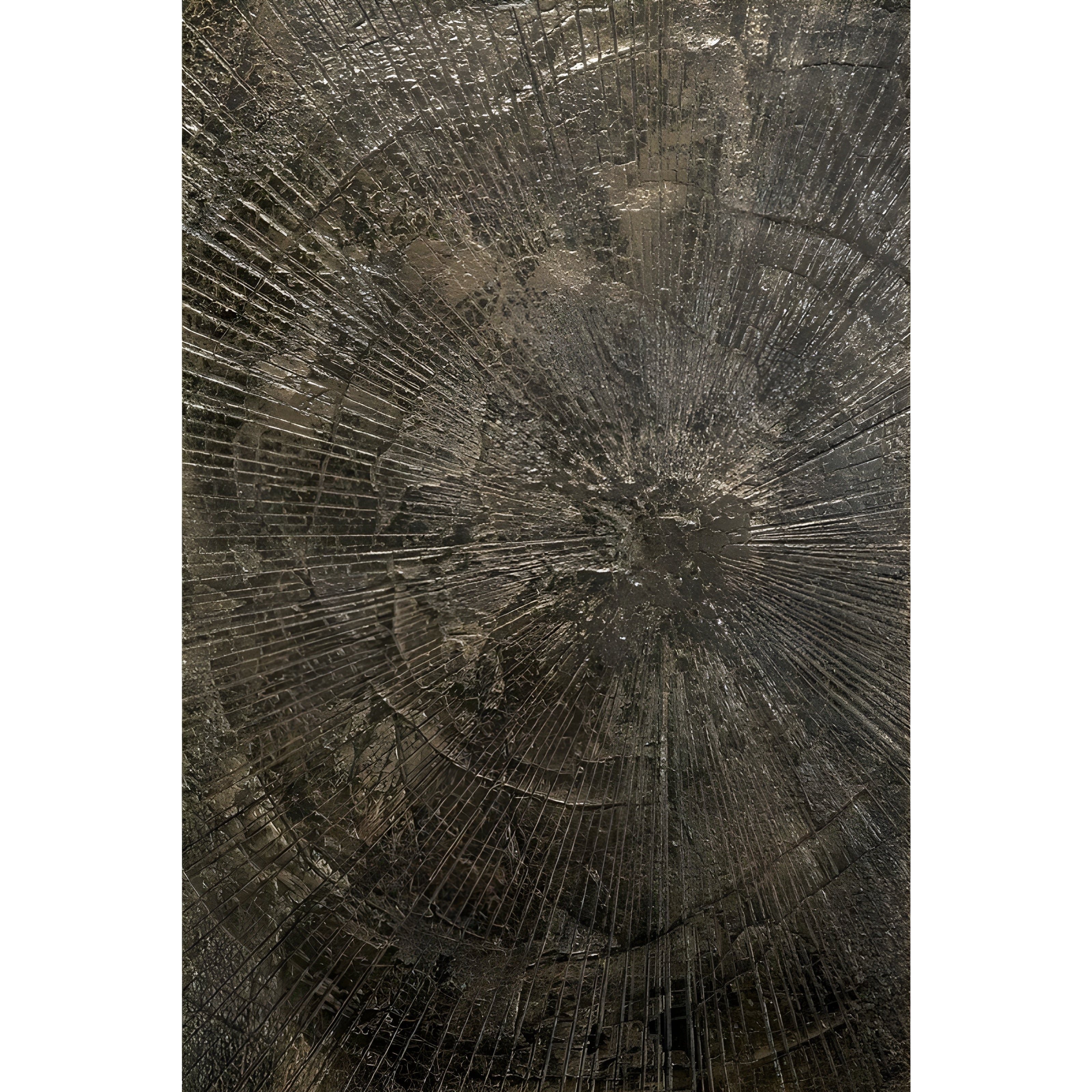 Ethnicraft Slice Coffee Table - ETH-25930