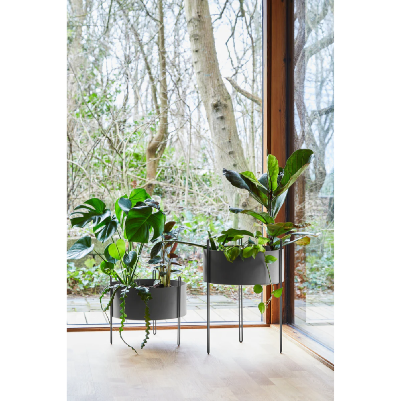 Woud Pidestall Planter - WOU-150203