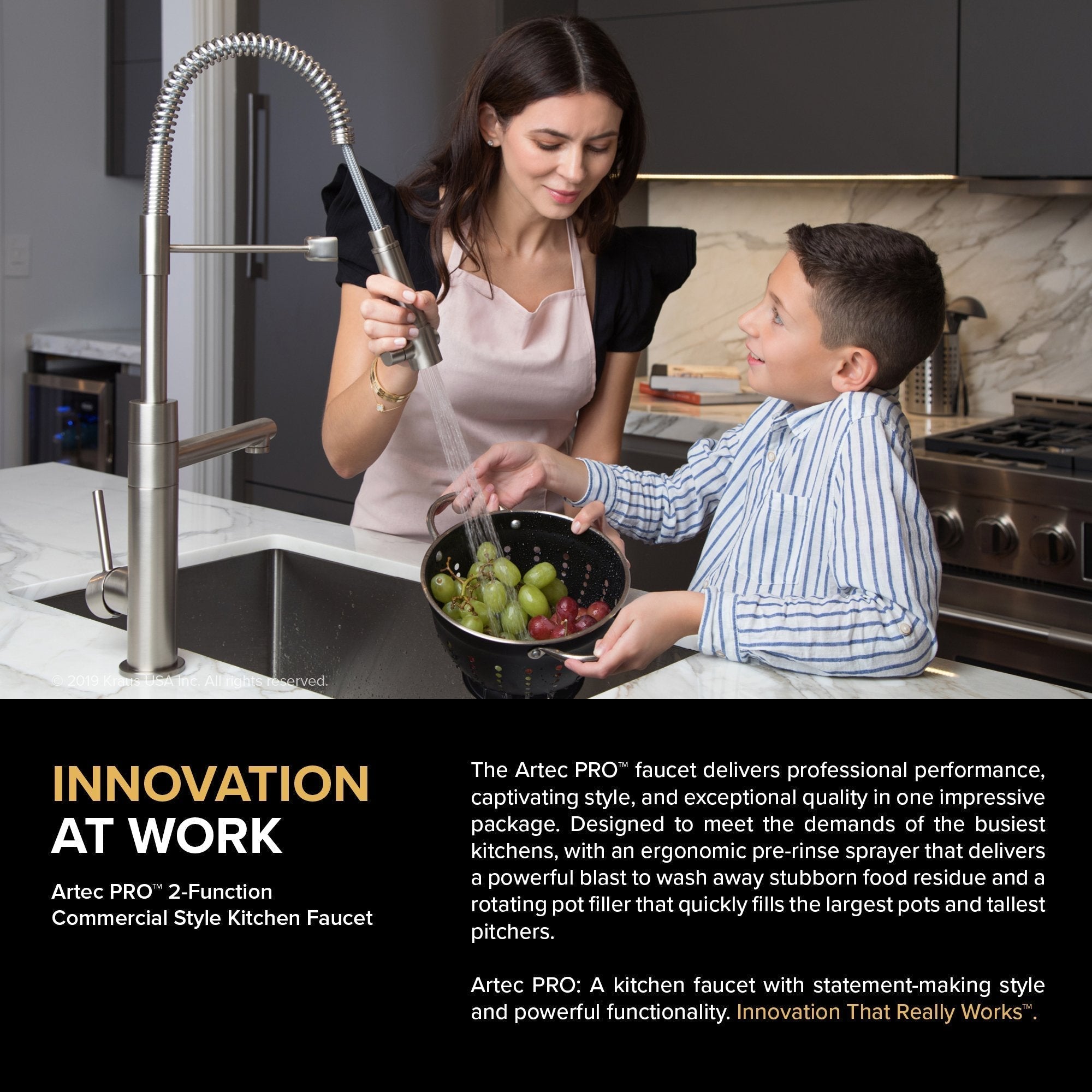 KRAUS Artec Pro 2-Function Commercial Style Pre-Rinse Kitchen Faucet with Matching Deck Plate in Matte Black/Black Stainless - KPF-1603MBSB-DP03SB