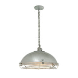 Davey Lighting Cargo Pendant - 1 Socket