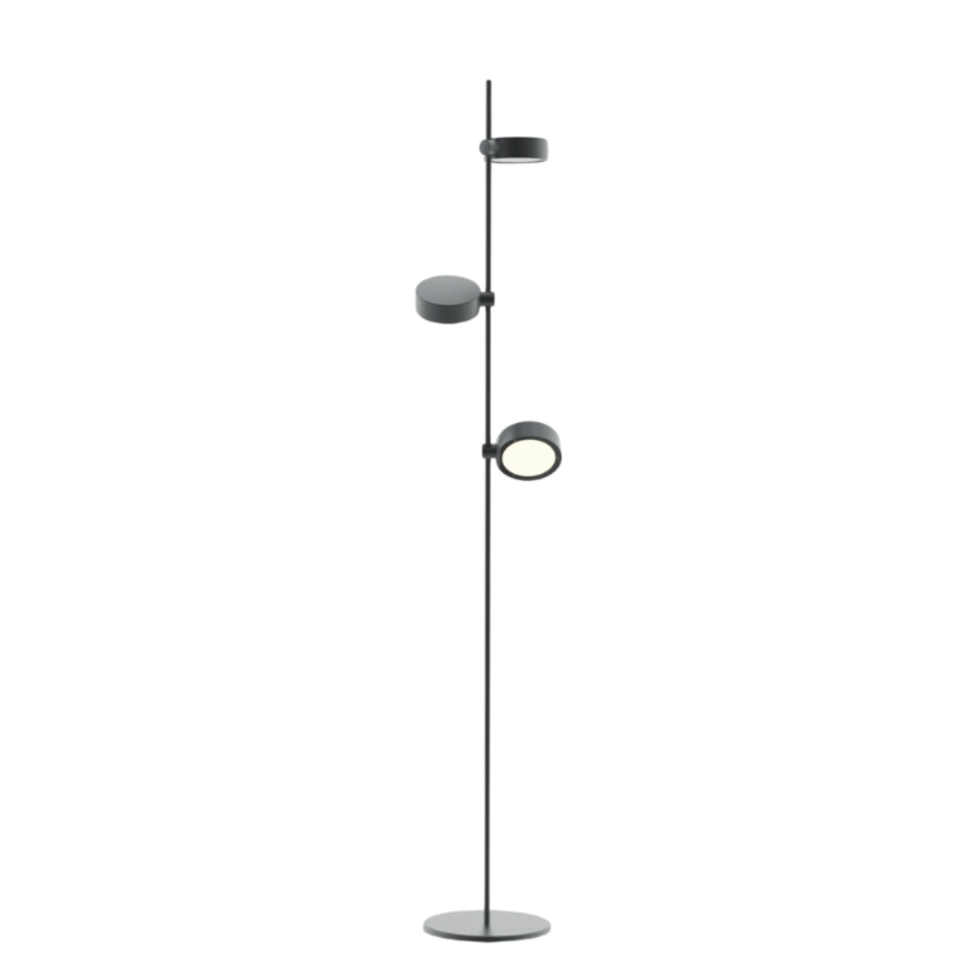 Super O Floor Lamp - ZAF-LD1156N3
