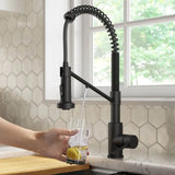 KRAUS Bolden 2-in-1 Pull-Down Single Handle Water Filter Kitchen Faucet in Matte Black with Purita 2-Stage Under-Sink Filtration System - FS-1001-KFF-1610MB