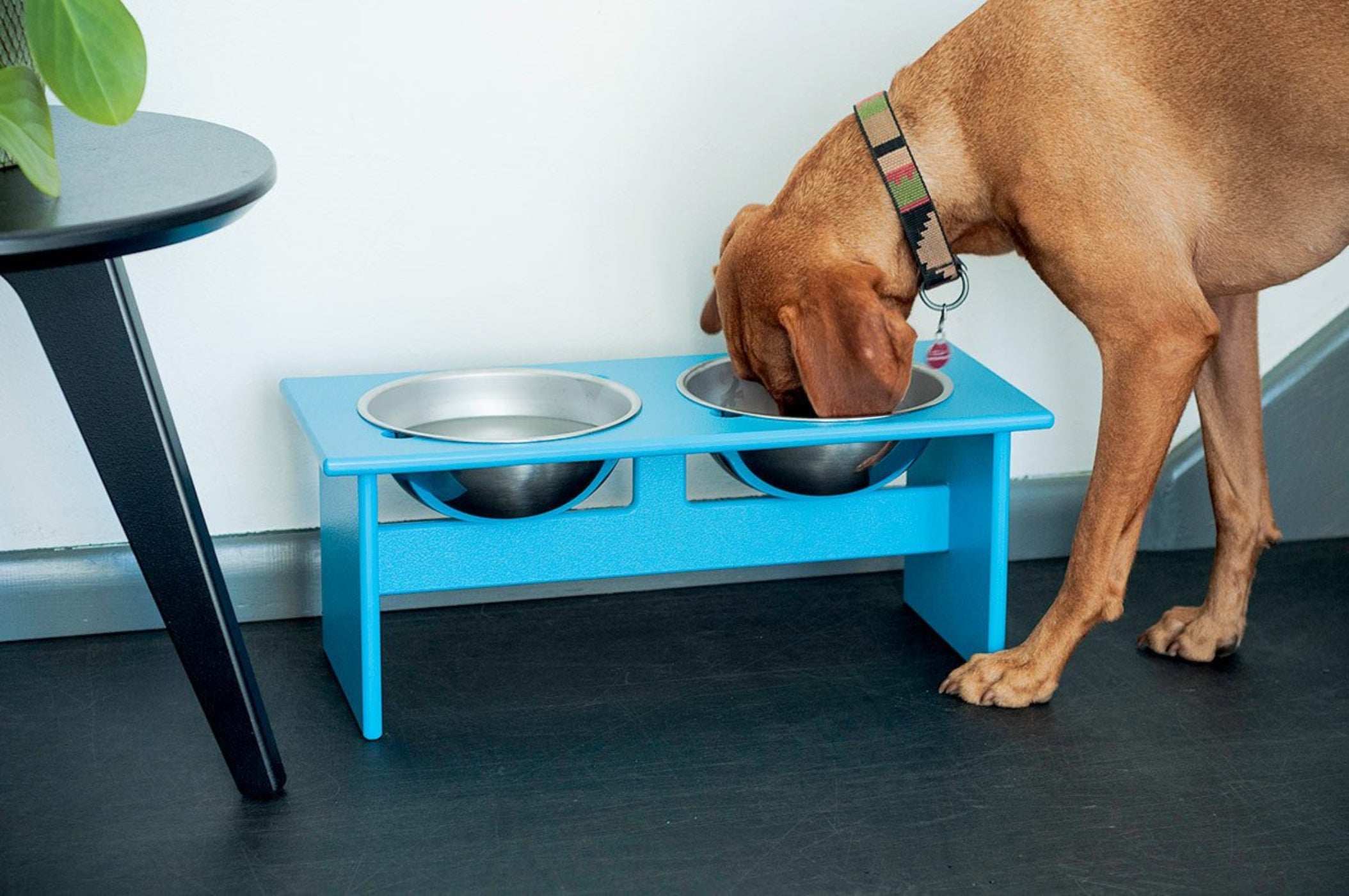 Loll Designs Minimalist Double Dog Bowl - Medium - PT-DM-BL