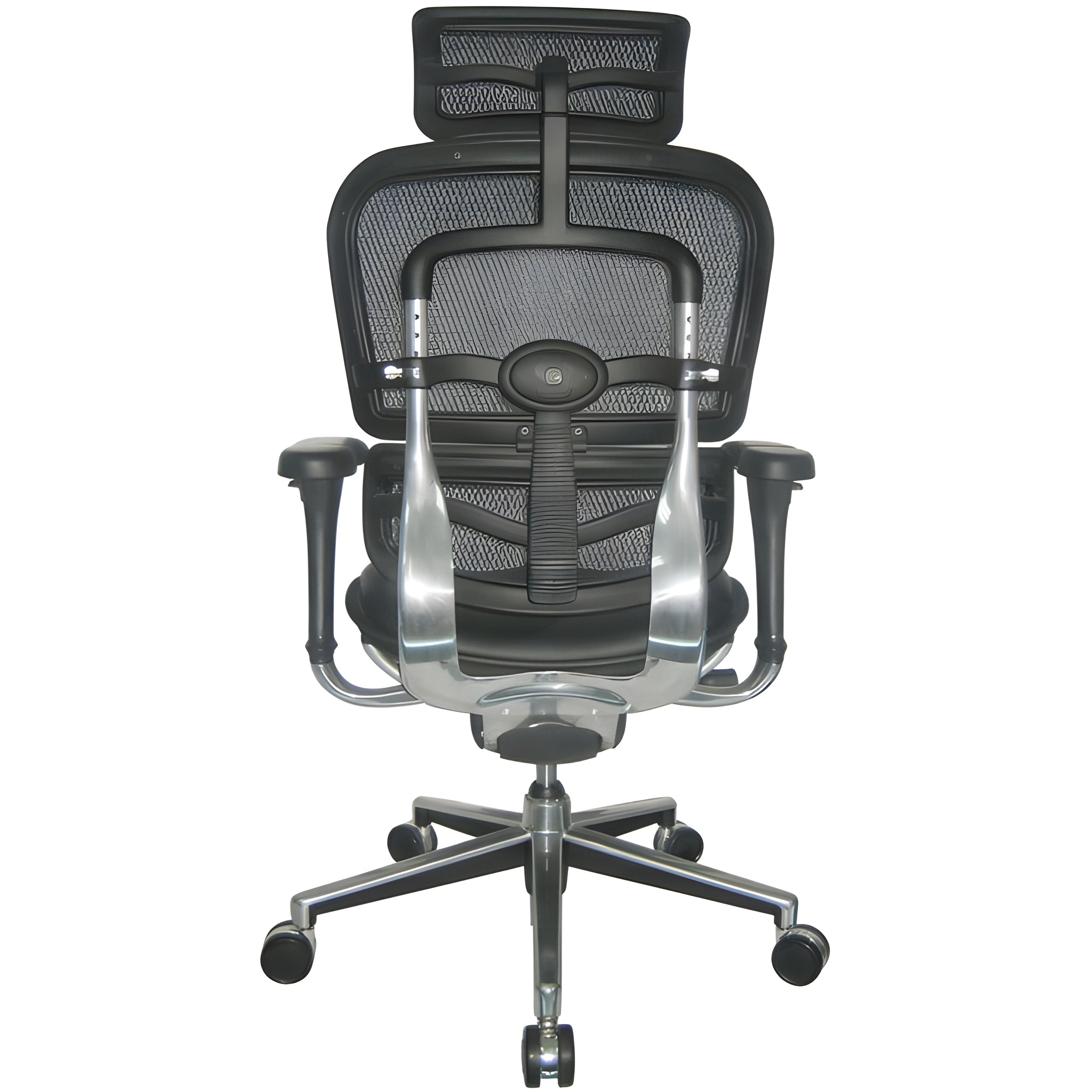 EuroTech Ergohuman Leather Mesh High Back Executive - EUR-LEM4ERG