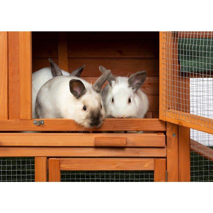 Prevue Pet Chicken Coop/Rabbit Hutch with Double-Run - 4600