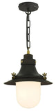 Davey Lighting Ship's Small Deck Light Pendant