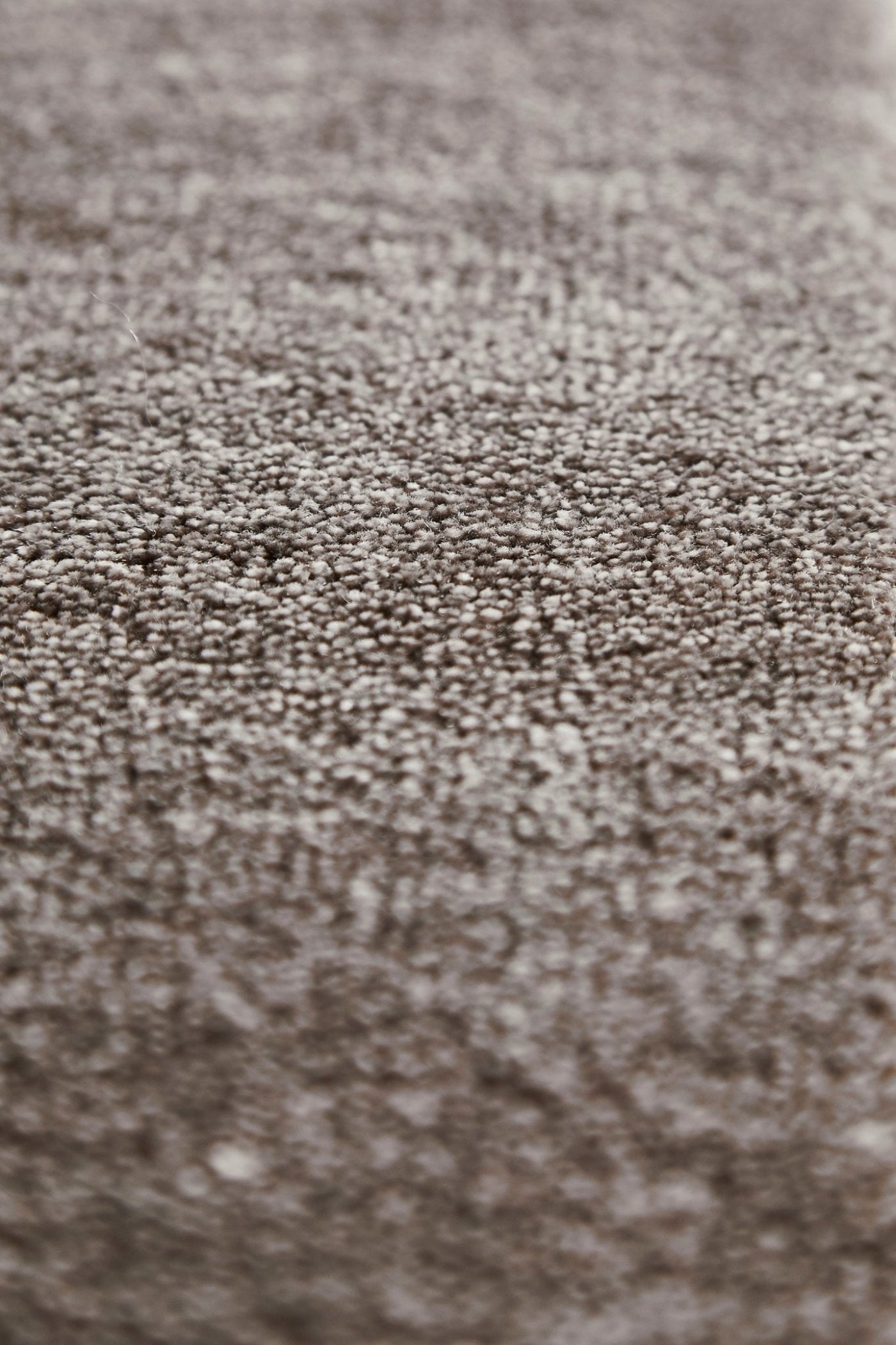 Woud Tint Rug - 160030